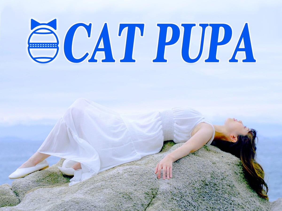 Cat pupa